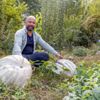 Yetiştirdiği 36.5 kiloluk dev kabakları, hiçbir ücret ...