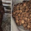 Klozetin su haznesine gizlenmiş olarak bulundu