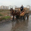 At arabasıyla kapkaç! At arabasıyla kapkaç!