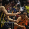 Fenerbahçe'den Canik'e ağır fark Fenerbahçe'den Canik'e ağır fark