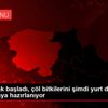 Hobi olarak başladı, çöl bitkilerini şimdi yurt dışına ... Hobi olarak başladı, çöl bitkilerini şimdi yurt dışına ...