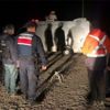 İzmir'de 23 düzensiz göçmen yakalandı İzmir'de 23 düzensiz göçmen yakalandı