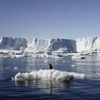 Bilim insanlarından kritik uyarı: Bering Denizi son 5 bin 500 yılın en düşük seviyesinde