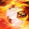 Fransız basınına göre Chadli Beşiktaş'a imza atacak Fransız basınına göre Chadli Beşiktaş'a imza atacak