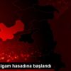 Muş ta şalgam hasadına başlandı