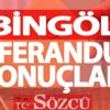 Bingöl 2017 referandum sonuçları: Evet ve Hayır oy oranları