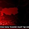 Korona virüse karşı kozalak reçeli ilgi odağı oldu Korona virüse karşı kozalak reçeli ilgi odağı oldu