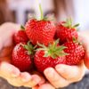 İlkbaharın C vitamini deposu: Çilek İlkbaharın C vitamini deposu: Çilek