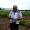 Akılalmaz hırsızlık! Tarladan söküp çaldılar Akılalmaz hırsızlık! Tarladan söküp çaldılar