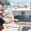Komedi filmi gibi! Hırsızlık yaparken unuttuğu telefonunu istemeye geldi | Yurttan ve dünyadan haberler...
