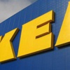 IKEA orman satın aldı
