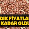 Giresun Ordu Trabzon, Düzce ve Fatsa güncel fındık fiyatlarında son durum 2020 fındık alım fiyatı son dakika kaç lira oldu? Giresun Ordu Trabzon, Düzce ve Fatsa güncel fındık fiyatlarında son durum 2020 fındık alım fiyatı son dakika kaç lira oldu?