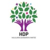 HDP Sultanbeyli İlçe Başkanlığı’na saldırı