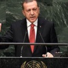 Mısır'dan Cumhurbaşkanı Erdoğan'a kınama Mısır'dan Cumhurbaşkanı Erdoğan'a kınama