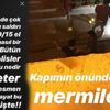 Nez’e silahlı saldırı şoku
