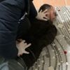Başkent'te tefeci operasyonu!