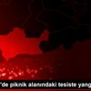 Nusaybin de piknik alanındaki tesiste yangın Nusaybin de piknik alanındaki tesiste yangın
