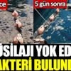 ﻿Müsilajı yok eden bakteri bulundu