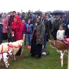 18. Geleneksel Çambaşı Yaylası Festivali - ORDU 18. Geleneksel Çambaşı Yaylası Festivali - ORDU