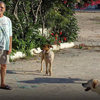 Çeşme havadisi! Çeşme havadisi!