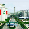 Enerjisini Soma ile artıracak
