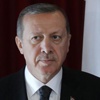 Erdoğan'ın "dokunulmazlık" kararı...