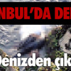 Singapurlular, ölen liderleri Lee'ye saygı ziyareti için parlamentoya akın etti Singapurlular, ölen liderleri Lee'ye saygı ziyareti için parlamentoya akın etti