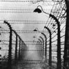 Roman ve Sinti Soykırımının 76. yıldönümü: Amsterdamlı Romanlar Auschwitz'e gönderilmekten nasıl kurtuldu?