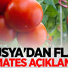 Rusya'dan flaş domates açıklaması