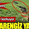 Esrarengiz yarık Esrarengiz yarık