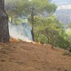 Kula Jeoparkı'nda korkutan yangın
