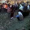 Devrilen traktörün altında kalan sürücü öldü Devrilen traktörün altında kalan sürücü öldü