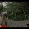 IŞİD’e giden 4 çocuklu aile Ankara’da yakalandı IŞİD’e giden 4 çocuklu aile Ankara’da yakalandı
