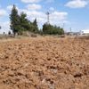 Şekeri düşen sürücü tarlaya uçtu Şekeri düşen sürücü tarlaya uçtu