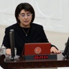 24 yıl sonra yine Zana, yine yemin krizi