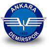 Ankara Demirspor'dan şampiyonluk başvurusu