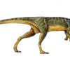 Boynuzlu ve gagalı dinozor keşfedildi Boynuzlu ve gagalı dinozor keşfedildi