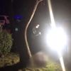 Parkta kendini ağaca iple astı Parkta kendini ağaca iple astı