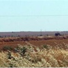 Türkiye-ABD arasında Suriye trafiği hızlandı! Türkiye-ABD arasında Suriye trafiği hızlandı!