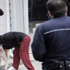 Çanakkale'de pitbull gerginliği