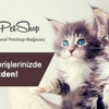 En Kaliteli Pet Ürünleri Bu Adreste