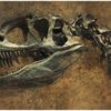 Madagaskar'da dinozorların atası olduğu düşünülen minyatür bir dinozor bulundu Madagaskar'da dinozorların atası olduğu düşünülen minyatür bir dinozor bulundu