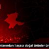 Ata tohumlarından ilaçsız doğal ürünler üretiliyor Ata tohumlarından ilaçsız doğal ürünler üretiliyor