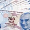 Yeni 100 liralar 20 Mayıs ta tedavüle çıkıyor
