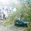 Edirne’yi fırtına vurdu