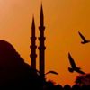 Kurtulmuşlar fırkası Kurtulmuşlar fırkası