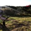 SULTANGAZİ DE POLİS SOKAK KÖPEKLERİNİ BESLEDİ