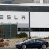 Tesla COVID-19 önlemlerini güncelledi Tesla COVID-19 önlemlerini güncelledi