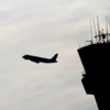 Pilot: Martıya çarptık!