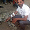 Hayatlarında leopar görmediler